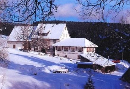 Pension Loeffelschmiede Lenzkirch Exterior foto